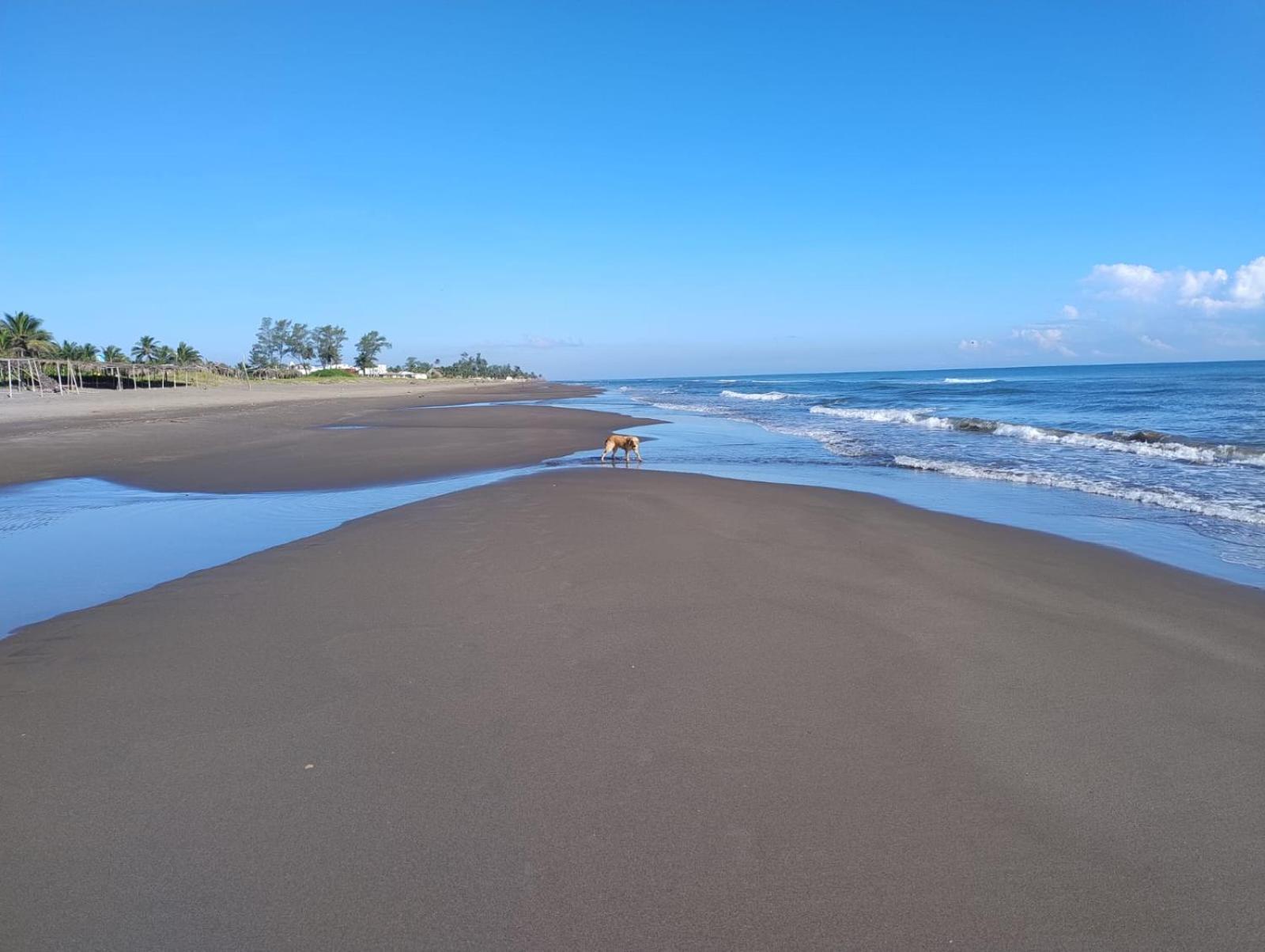 Playa Encantada Casitas Eksteriør billede